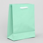 Пакет подарочный ламинированный, упаковка, «Зелёный», S 12 х 15 х 5,5 см - Фото 3