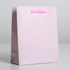 Пакет подарочный ламинированный, упаковка, «Розовый», S 12 х 15 х 5,5 см - фото 3487389