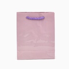 Пакет подарочный ламинированный, упаковка, «Розовый», S 12 х 15 х 5,5 см (комплект 2 шт) - фото 23265409