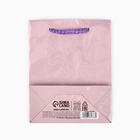 Пакет подарочный ламинированный, упаковка, «Розовый», S 12 х 15 х 5,5 см (комплект 2 шт) - фото 26600194