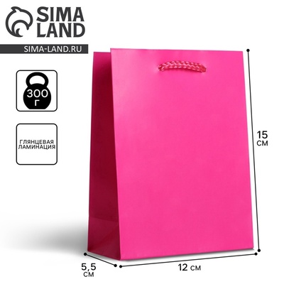 Пакет подарочный ламинированный, упаковка, «Фуксия», S 12×15×5.5 см