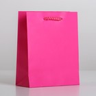 Пакет подарочный ламинированный, упаковка, «Фуксия», S 12 х 15 х 5,5 см - Фото 4