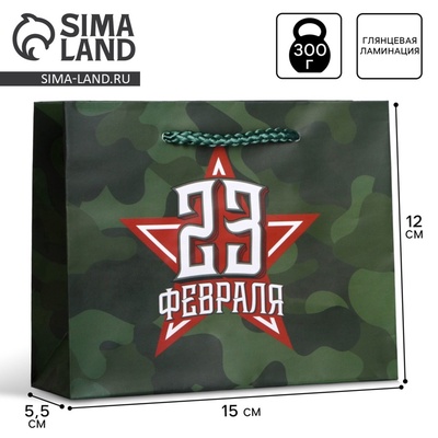 Пакет подарочный ламинированный, упаковка, «С 23 февраля», S 15×12×5.5 см