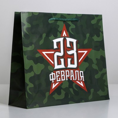 Пакет подарочный ламинированный, упаковка, «С 23 февраля», ML 25×21×8 см