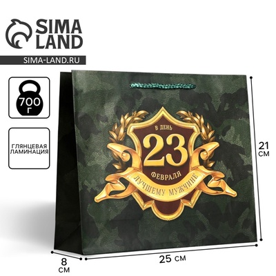 Пакет подарочный ламинированный, упаковка, «С 23 февраля», ML 25×21×8 см