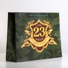 Пакет подарочный ламинированный горизонтальный, упаковка, «С 23 февраля», L 28 х 38 х 9 см - фото 5606823