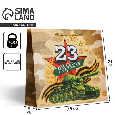 Пакет подарочный ламинированный, упаковка, «С 23 февраля», ML 25×21×8 см