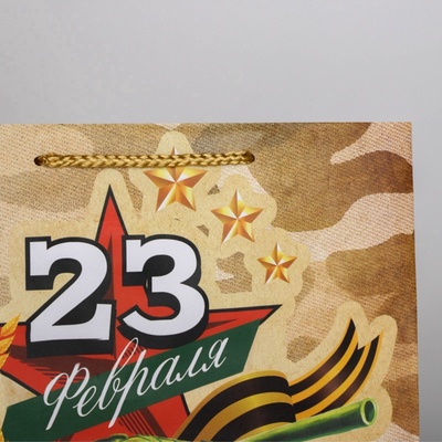 Пакет подарочный ламинированный, упаковка, «С 23 февраля», ML 25×21×8 см