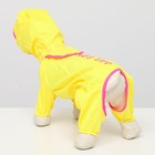 Комбинезон демисезонный с отверстием для поводка, 10 (ДС 25, ОШ  26, ОГ 30 см), жёлтый 5152254
