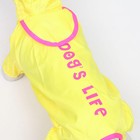 Комбинезон демисезонный с отверстием для поводка, 10 (ДС 25, ОШ  26, ОГ 30 см), жёлтый 5152254