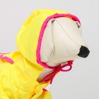 Комбинезон демисезонный с отверстием для поводка, 10 (ДС 25, ОШ  26, ОГ 30 см), жёлтый 5152254