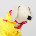 Комбинезон демисезонный с отверстием для поводка, 10 (ДС 25, ОШ  26, ОГ 30 см), жёлтый 5152254