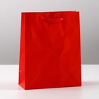 Пакет подарочный ламинированный, упаковка, «Красный», S 12 х 15 х 5,5 см - фото 320656719
