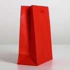 Пакет подарочный ламинированный, упаковка, «Красный», S 12 х 15 х 5,5 см - Фото 2