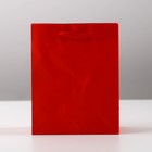 Пакет подарочный ламинированный, упаковка, «Красный», S 12 х 15 х 5,5 см - Фото 3