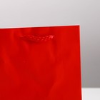 Пакет подарочный ламинированный, упаковка, «Красный», S 12 х 15 х 5,5 см - Фото 4