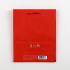Пакет подарочный ламинированный, упаковка, «Красный», S 12 х 15 х 5,5 см - Фото 5