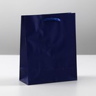Пакет подарочный ламинированный, упаковка, «Синий», S 12 х 15 х 5,5 см - фото 320429413
