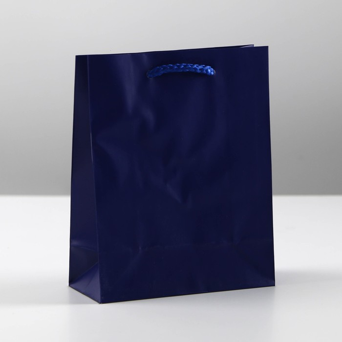 Пакет подарочный ламинированный, упаковка, «Синий», S 12 х 15 х 5,5 см - Фото 1