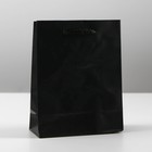Пакет подарочный ламинированный, упаковка, «Чёрный», S 12 х 15 х 5,5 см - фото 320656724