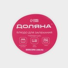 Форма для запекания и выпечки Доляна, 3 л, 35×24×6 см, овальная, жаропрочное стекло, прозрачная - Фото 7