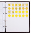 Альбом для монет на кольцах 225×265 мм, «Памятные монеты РФ», обложка ПВХ, 13 листов, коричневый - Фото 11