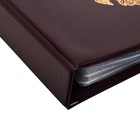 Альбом для монет на кольцах 225×265 мм, «Памятные монеты РФ», обложка ПВХ, 13 листов, коричневый - Фото 3