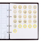 Альбом для монет на кольцах 225 х 265 мм, "Памятные монеты РФ", обложка ПВХ, 13 листов и 13 цветных картонных вставок, коричневый - фото 9576823