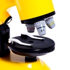 Микроскоп детский «Юный ученый» кратность х100, х400, х1200, подсветка, цвет жёлтый - фото 150473