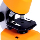 Микроскоп детский «Юный ученый» кратность х100, х400, х1200, подсветка, цвет жёлтый - фото 9576837