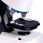 Микроскоп детский «Юный ученый» кратность х100, х400, х1200, подсветка, цвет белый - фото 3738243