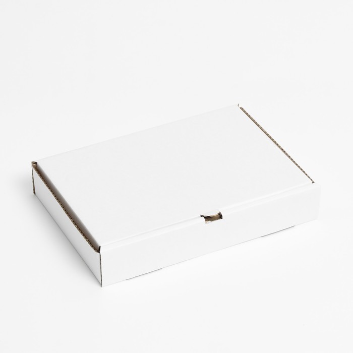 Коробка для пиццы, белая, 30 х 20 х 5 см - Фото 1