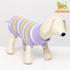 Свитер "Полоски", XS (ДС 17, ОШ 17, ОГ 23-37 см) - Фото 1