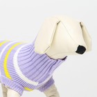 Свитер «Полоски», S (ДС 23, ОШ 23, ОГ 26-45 см) - Фото 6