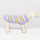 Свитер «Полоски», M (ДС 26, ОШ 26, ОГ 28-46 см) - Фото 2