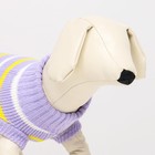 Свитер «Полоски», M (ДС 26, ОШ 26, ОГ 28-46 см) - Фото 5