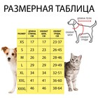 Свитер "Полоски", XL (ДС 34, ОШ 34, ОГ 32-51 см) 7018213 - фото 29743