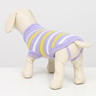 Свитер «Полоски», 3XL (ДС 46, ОШ 46, ОГ 38-64 см) - Фото 3