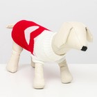 Свитер «Сердечко», 3XL (ДС 46, ОШ 46, ОГ 38-64 см) - фото 57951528