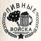 Тапочки для бани «Пивные войска», полиэфир 70%, шерсть 30%, «Банная забава» - Фото 3