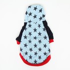 Кофта с капюшоном "Звездопад", флис, размер M (ДС 36, ОШ 36, ОГ 47 см), голубое - Фото 4