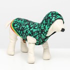 Курточка для собак "Пятнашки", размер 3 (ДС 28,ОШ 30, ОГ 42 см), зелёная - фото 318689372