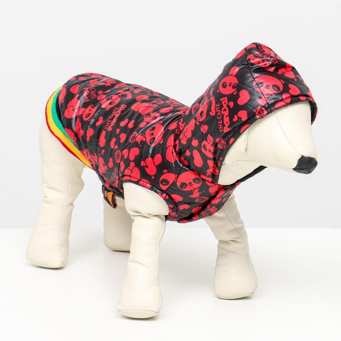 Курточка для собак "Пятнашки", размер 1 (ДС 17, ОШ 20, ОГ 27 см), красная - Фото 1
