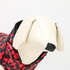 Курточка для собак "Пятнашки", размер 1 (ДС 17, ОШ 20, ОГ 27 см), красная - Фото 6