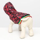 Курточка для собак "Пятнашки", размер 2 (ДС 23,ОШ 26, ОГ 33 см), красная - фото 37313077