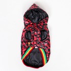 Курточка для собак "Пятнашки", размер 2 (ДС 23,ОШ 26, ОГ 33 см), красная - фото 37313082