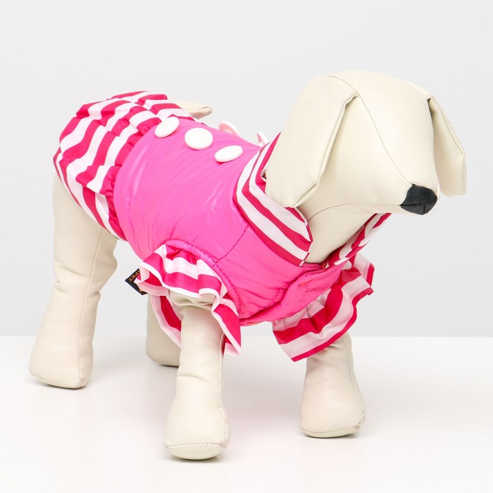 Курточка для собак с воланами, размер 3 (ДС 28,ОШ 30, ОГ 42 см), розовая - Фото 1
