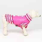 Курточка для собак с воланами, размер 3 (ДС 28,ОШ 30, ОГ 42 см), розовая - Фото 2