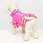 Курточка для собак с воланами, размер 3 (ДС 28,ОШ 30, ОГ 42 см), розовая - Фото 3