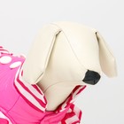 Курточка для собак с воланами, размер 3 (ДС 28,ОШ 30, ОГ 42 см), розовая - Фото 5